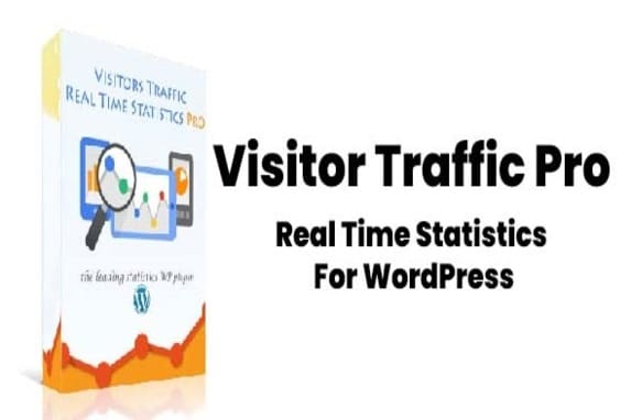 Visitor Traffic – Real Time Statistics Pro