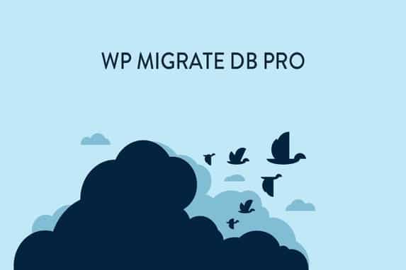 WP Migrate DB Pro Plugin